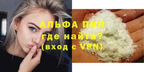 стаф Покачи