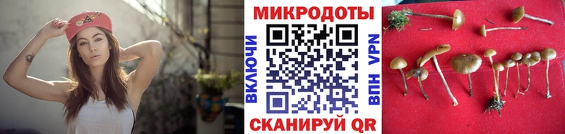 Галлюциногенные грибы мицелий Амурск